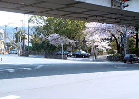 �}���V�������猩�����i