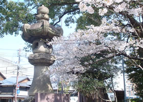 ��J�{�_�i����J�j